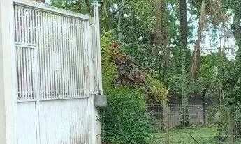 Imagem 6: Sítio a venda em Santo Antônio de Lisboa