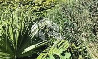 Imagem 3: Lindo Terreno de esquina com 582m2 no Bairro Imigrante