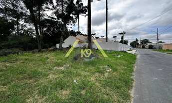 Imagem 4: Terreno medindo 1250m² à venda no bairro Palmital, Colombo, PR