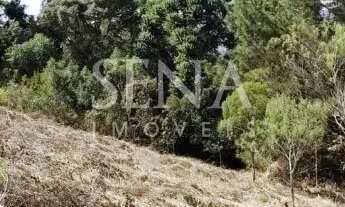 Imagem 2: Terreno Em Condominio / Venda