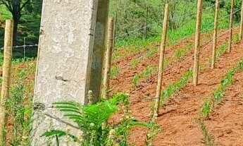 Imagem 2: EXCELENTE TERRENO DE 22.000M² EM RIO MANSO, COM ENERGIA ELÉTRICA E ESCRITURA