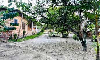 Imagem 7: Vendo lindo sítio na Vila do Cruzador/ Marapanim