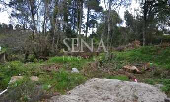 Imagem 3: Terreno / Venda Terreno / lote com venda por R$380.000