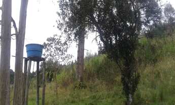 Imagem 6: Sítio!!! Chácara com venda por R$300.000