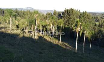 Imagem 6: Sítio.!! Chácara com venda por R$260.000