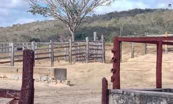 Imagem 2: Fazenda 2.195 Hectares