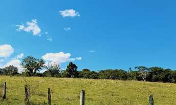 Imagem: Fazenda/Sítio/Chácara para venda possui