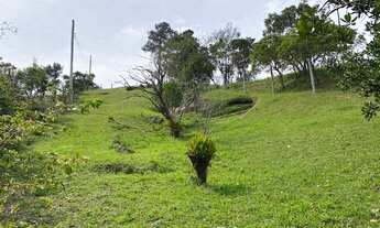 Imagem 7: Lindo terreno com 900m2 no morro da Silveira com bela vista do mar