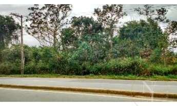 Imagem 2: São Paulo - Loteamento/Condomínio - Jardim Vista Alegre