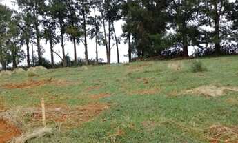 Imagem 6: Preciso vender agora esses terrenos em Igaratá!