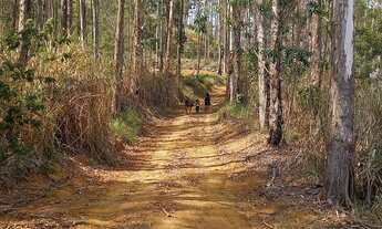 Imagem: Sítio em Timbuí