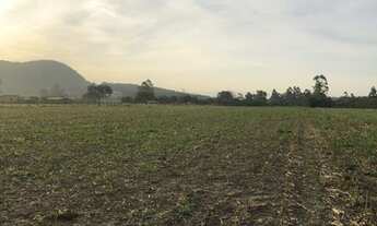 Imagem 4: 6,5 Hectares em Maracajá / SC