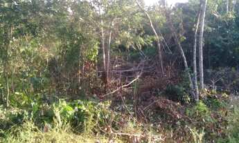 Imagem 3: Terreno no Mararu