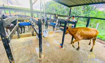 Imagem 3: Chácara para lazer