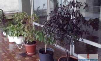 Imagem 5: Travessa Brigadeiro