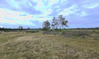 Imagem 3: Fazenda 680 alqueires / Peixe , Tocantins