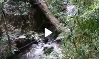 Imagem 6: Chácara 2 Hectares, localizada na Comunidade São Salvador/Cvel