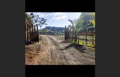 Imagem 5: Vendo loto de 800 metros quadrado