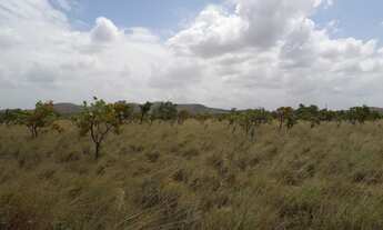 Imagem 4: Fazenda com 3000 hectares Bonfim/RR a 70 km de Boa Vista, região do São Francisco, Beira A