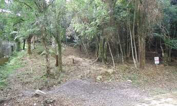 Imagem 4: Terreno Residencial à venda, Vila do Cedro, Canela - TE0821