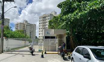 Imagem: Alugo Apartamento Vila Bella na Serraria