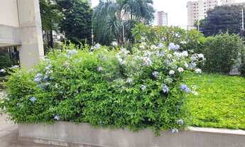 Imagem 4: APARTAMENTO 3 DORMITÓRIOS (1 SUÍTE) E 1 VAGA DE GARAGEM PARA VENDA - PERDIZES