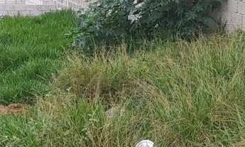 Imagem 3: Lote/Terreno para venda possui 179 metros quadrados