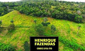 Imagem 5: Fazenda Luzimangues 216 hectares 25 km