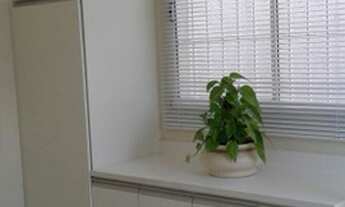 Imagem 4: Casa térrea na água fria, 03 suítes, 02 vagas, edicula nos fundos com salão churrasqueira