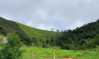 Imagem 5: Sítio - Funil (Rio Preto - MG