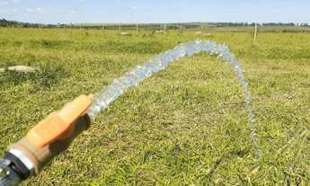 Imagem 3: Chácara à 30 km de Anápolis-Go. Tamanho: 3.000 M2