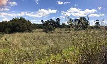 Imagem 4: Excelente fazenda em terra de cultura em 100 hectares