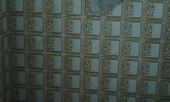 Imagem 6: CASA - JARDIM CAMBUI