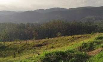 Imagem 2: A venda Apartir de 450m2