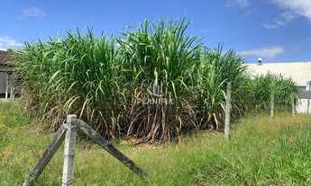 Imagem 2: TERRENO 100% PLANO LIMOEIRO