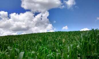 Imagem 7: Terreno à venda, Rio Acima, Vargem, SP