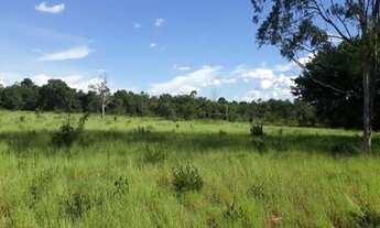 Imagem 2: Fazenda 680 alqueires / Peixe , Tocantins