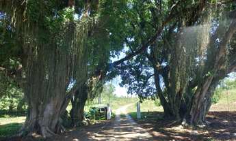 Imagem 4: LANCAMENTO CACAPAVA-BORDA DO LAGO-300M²- LAZER RUSTICO