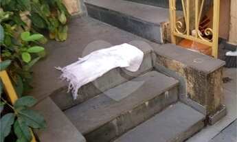 Imagem 3: Casa-São Paulo-HORTO