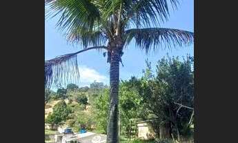 Imagem 7: Chácara com 3 dormitórios à venda, 7388 m² por R$ 530.000 - Santa Joana - Santa Branca/SP