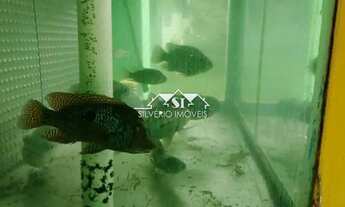 Imagem 5: Fazenda- Rio Claro, Centro