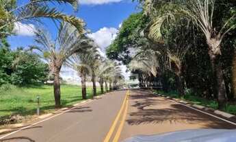 Imagem: Terreno à venda em Paulínia - Loteamento