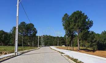 Imagem 6: Terreno de 395,30 m², loteamento planejado e escriturado, Ingleses do Rio Vermelho, Floria