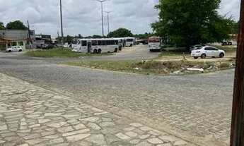 Imagem 3: Apartamento pra alugar