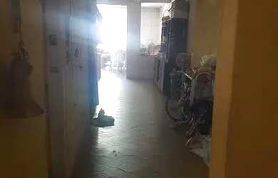 Imagem 4: Vendo essa casa Casa com 2 dormitórios