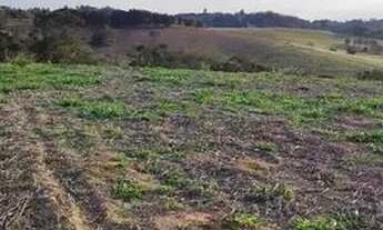 Imagem 7: 48AN-1O5FI20 Terreno / lote com venda por R$90.000