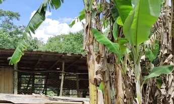 Imagem 6: Belíssima Chácara Próxima a Anápolis!