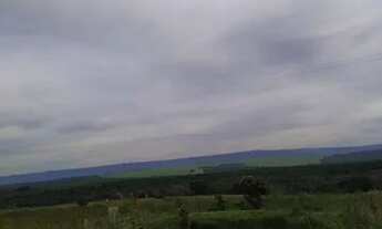 Imagem 3: Fazenda em Pedregulho SP com 50 alqueires a 120 o alqueire