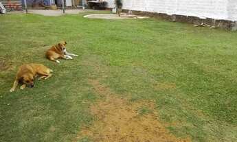 Imagem 4: Casa a venda Casa com 3 dormitórios