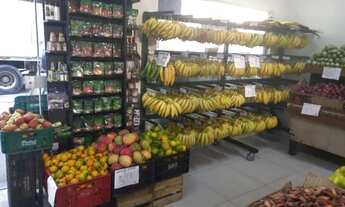 Imagem 6: Vendo verdureira completa